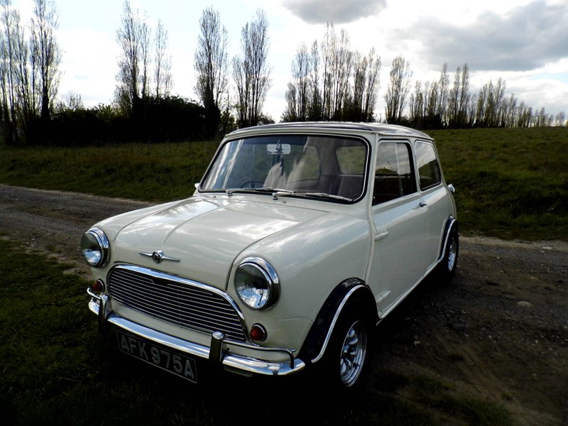 mini