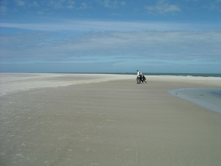 Grenen: west