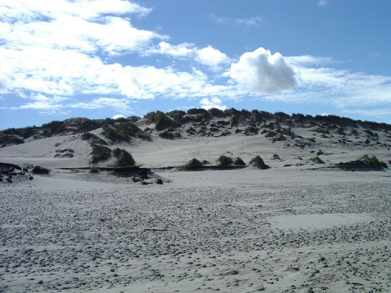 Dune edge