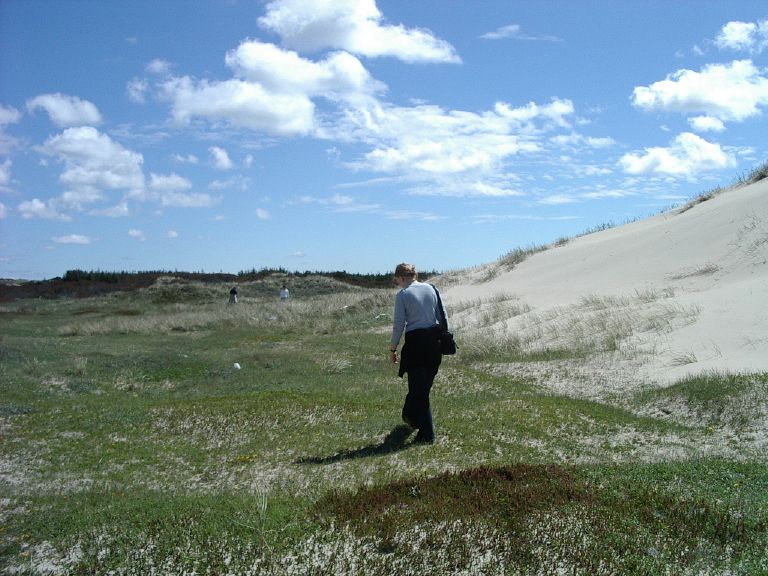 Dunes